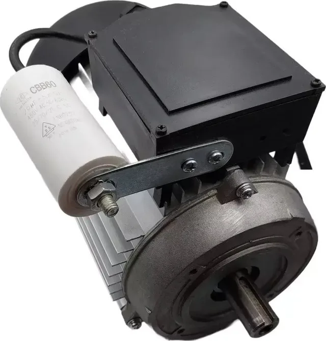 Dedra Elektromotor