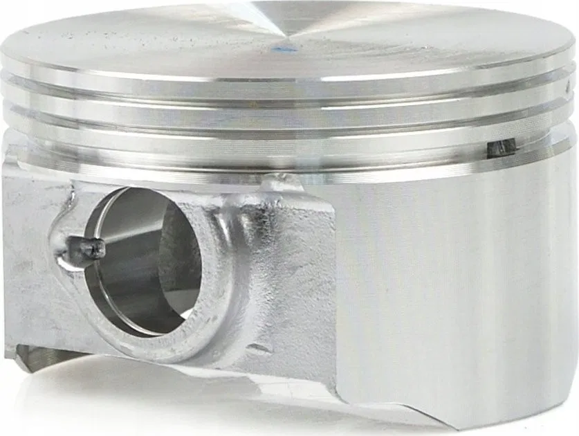 Tvardy Kolben für Aggregat T05011 (1)