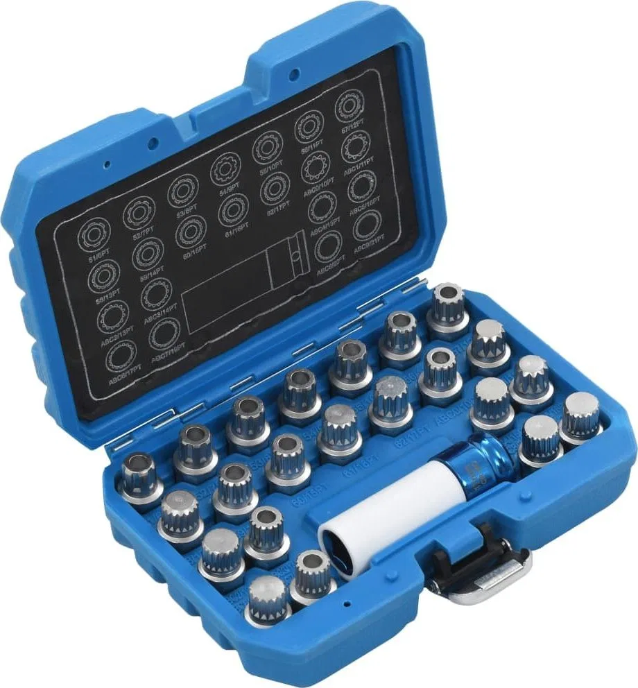 vidaXL Set mit 23 Steckschlüsseleinsätzen für Felgensicherungsschrauben für VAG (210490)