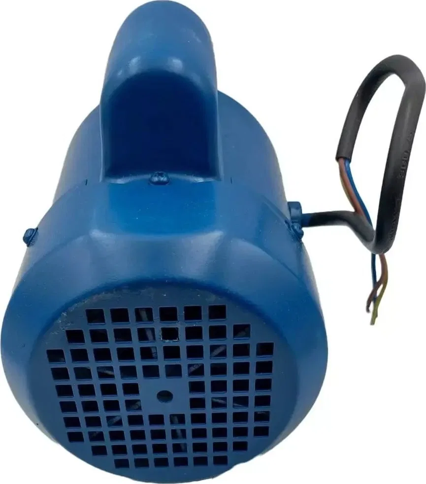 Dedra Elektromotor
