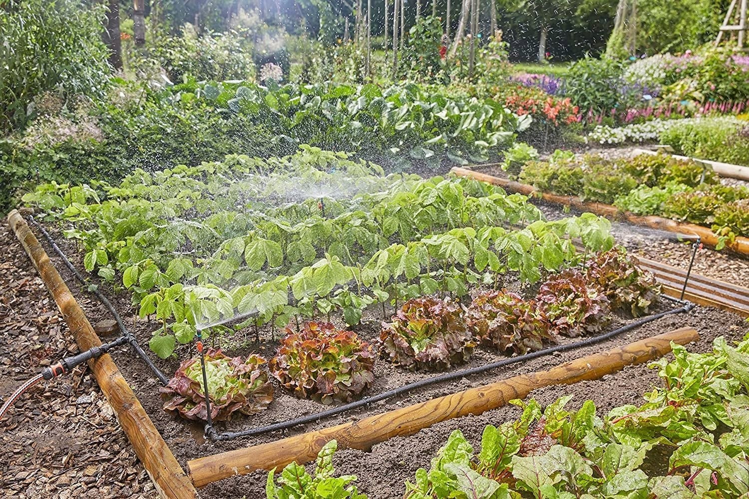 Gardena GARDENA Micro-Drip-System Tropfbewässerungsset für Gemüse- und Blumenbeete 60 m², Tropfer (schwarz/grau, Modell 2023)