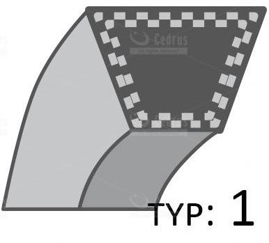 John Deere-Riemen für Fahrantrieb Ltr 155, Ltr 166, Ltr 180 /13X3450/ Dbl-A-M141562