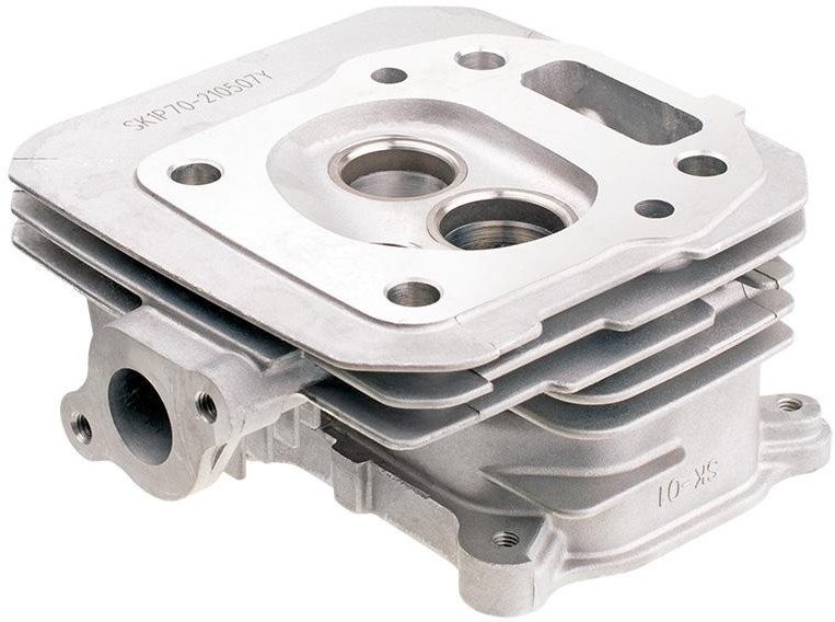 Kopf Cedrus Y196V 480499